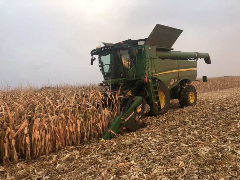 Hajdú-Bihar megyében, Tépe környékén foglalkozik növénytermesztéssel a Balogh-Farm Tépe Kft.