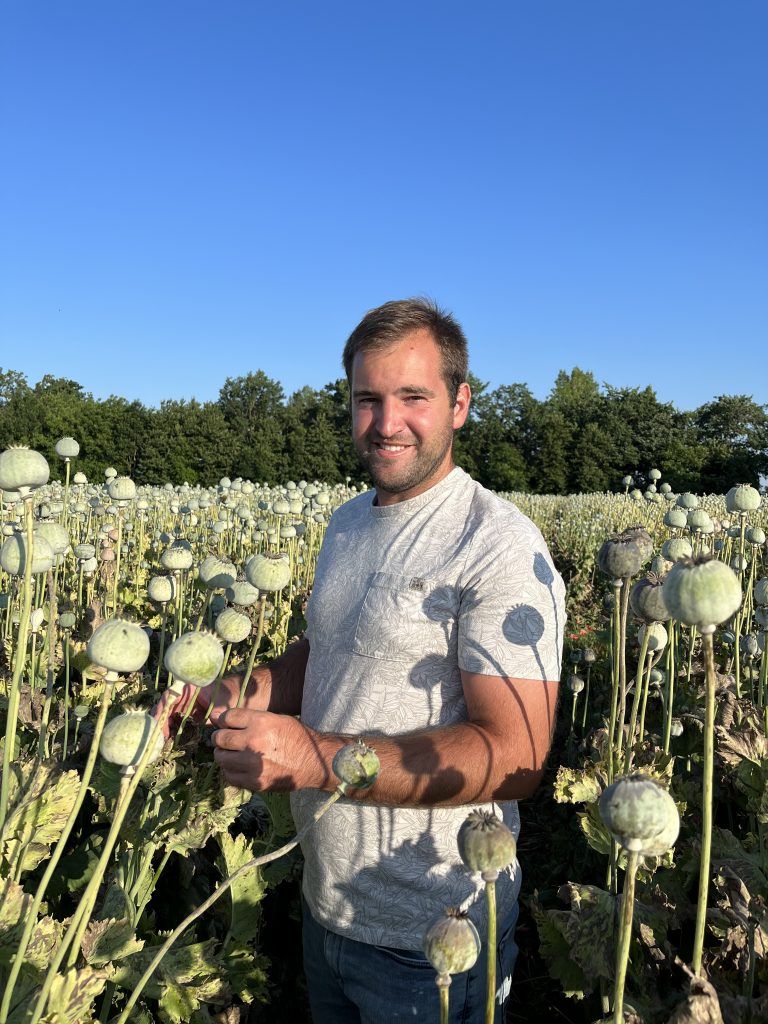 A gabona mellett a máktermesztés is a gazdálkodási gyakorlat része